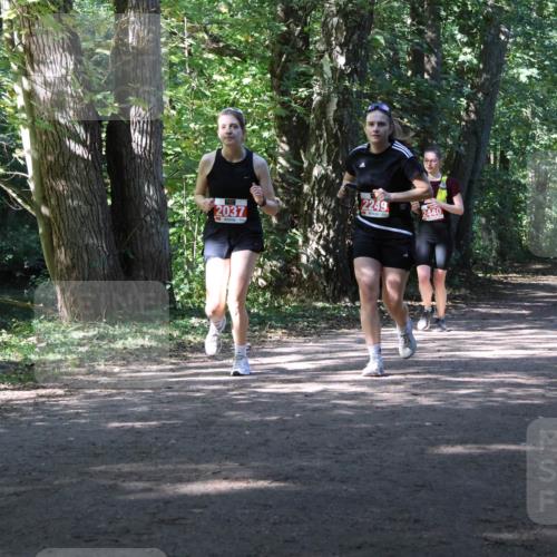 28.09.2025 - 33. Volkslauf durch das schöne Alstertal Strokosch-Dieckow http://msf.ph/oto/8974577 28.09.2025 12:49:33 Laufen 2037, 2249, 2440 meine-sportfotos.de