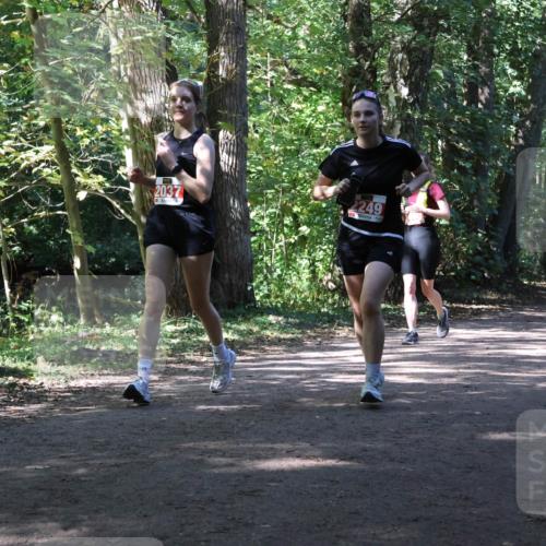 28.09.2025 - 33. Volkslauf durch das schöne Alstertal Strokosch-Dieckow http://msf.ph/oto/8974578 28.09.2025 12:49:34 Laufen 2037, 2249 meine-sportfotos.de