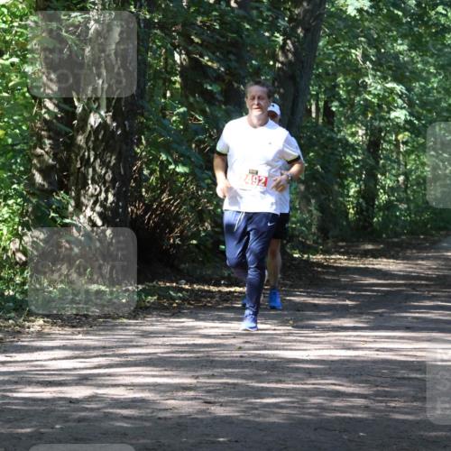 28.09.2025 - 33. Volkslauf durch das schöne Alstertal Strokosch-Dieckow http://msf.ph/oto/8974590 28.09.2025 12:50:06 Laufen 492 meine-sportfotos.de