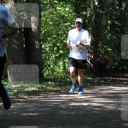 28.09.2025 - 33. Volkslauf durch das schöne Alstertal Strokosch-Dieckow http://msf.ph/oto/8974593 28.09.2025 12:50:09 Laufen 2492, 2067 meine-sportfotos.de