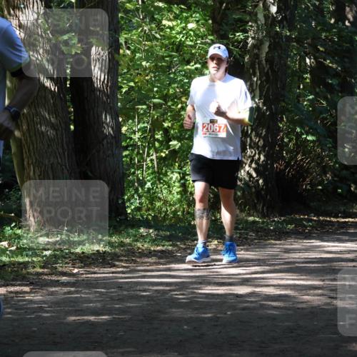 28.09.2025 - 33. Volkslauf durch das schöne Alstertal Strokosch-Dieckow http://msf.ph/oto/8974594 28.09.2025 12:50:09 Laufen 2492, 3, 2067 meine-sportfotos.de