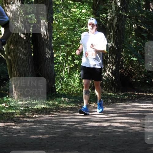 28.09.2025 - 33. Volkslauf durch das schöne Alstertal Strokosch-Dieckow http://msf.ph/oto/8974595 28.09.2025 12:50:09 Laufen 2492, 2067 meine-sportfotos.de
