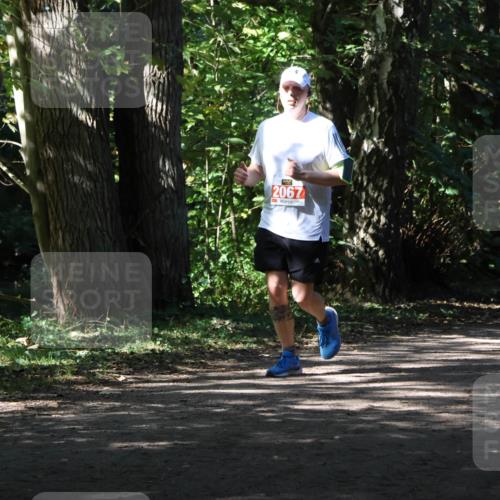 28.09.2025 - 33. Volkslauf durch das schöne Alstertal Strokosch-Dieckow http://msf.ph/oto/8974597 28.09.2025 12:50:09 Laufen 92, 2067 meine-sportfotos.de
