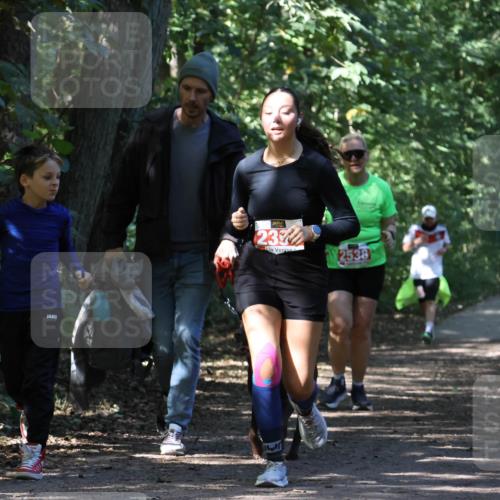 28.09.2025 - 33. Volkslauf durch das schöne Alstertal Strokosch-Dieckow http://msf.ph/oto/8974598 28.09.2025 12:50:40 Laufen 237, 2538 meine-sportfotos.de