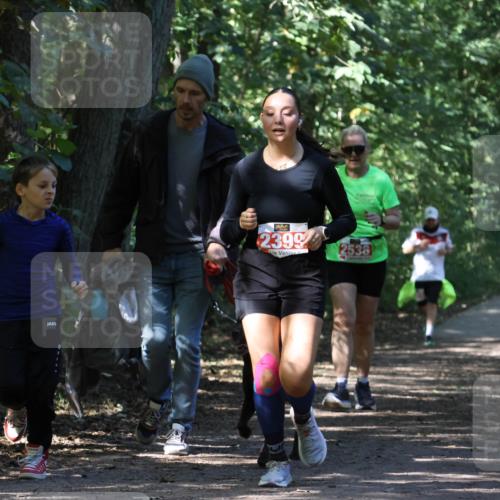 28.09.2025 - 33. Volkslauf durch das schöne Alstertal Strokosch-Dieckow http://msf.ph/oto/8974599 28.09.2025 12:50:40 Laufen 2399, 2538 meine-sportfotos.de