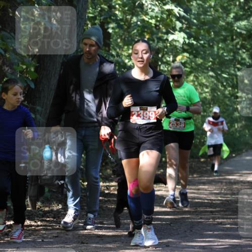 28.09.2025 - 33. Volkslauf durch das schöne Alstertal Strokosch-Dieckow http://msf.ph/oto/8974600 28.09.2025 12:50:40 Laufen 23992, 2538 meine-sportfotos.de