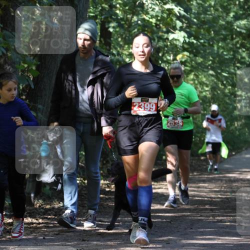 28.09.2025 - 33. Volkslauf durch das schöne Alstertal Strokosch-Dieckow http://msf.ph/oto/8974601 28.09.2025 12:50:40 Laufen 2399, 2538 meine-sportfotos.de