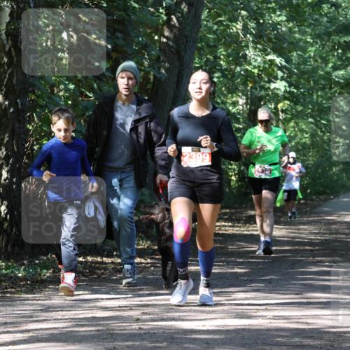 28.09.2025 - 33. Volkslauf durch das schöne Alstertal Strokosch-Dieckow http://msf.ph/oto/8974602 28.09.2025 12:50:41 Laufen 2399 meine-sportfotos.de