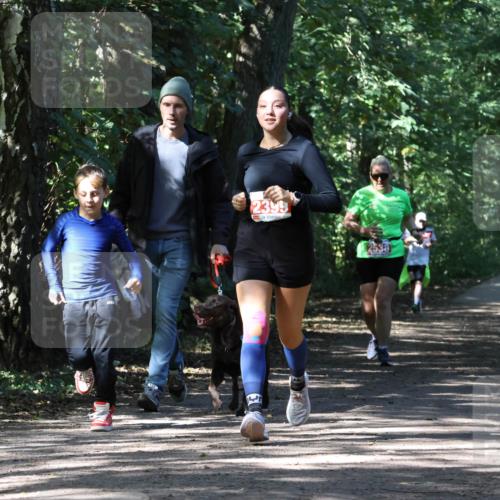 28.09.2025 - 33. Volkslauf durch das schöne Alstertal Strokosch-Dieckow http://msf.ph/oto/8974604 28.09.2025 12:50:41 Laufen 2399, 2538 meine-sportfotos.de
