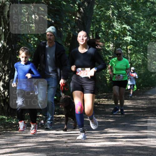 28.09.2025 - 33. Volkslauf durch das schöne Alstertal Strokosch-Dieckow http://msf.ph/oto/8974606 28.09.2025 12:50:42 Laufen 2399 meine-sportfotos.de