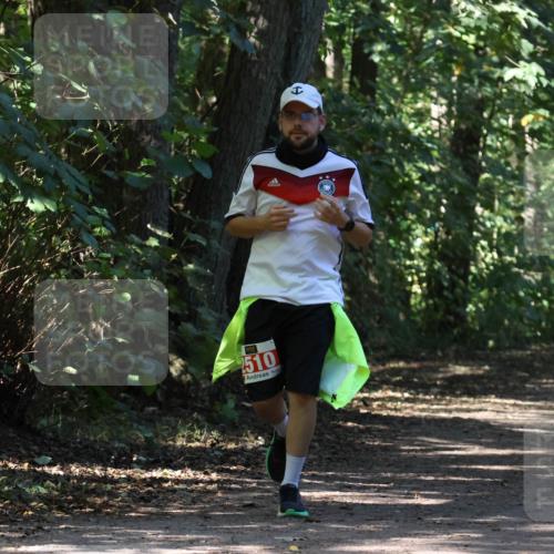 28.09.2025 - 33. Volkslauf durch das schöne Alstertal Strokosch-Dieckow http://msf.ph/oto/8974615 28.09.2025 12:50:53 Laufen 2510 meine-sportfotos.de