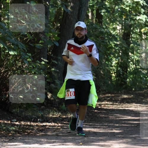 28.09.2025 - 33. Volkslauf durch das schöne Alstertal Strokosch-Dieckow http://msf.ph/oto/8974616 28.09.2025 12:50:53 Laufen 510 meine-sportfotos.de