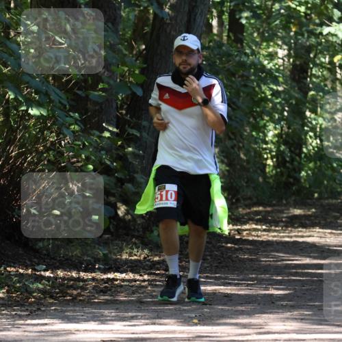 28.09.2025 - 33. Volkslauf durch das schöne Alstertal Strokosch-Dieckow http://msf.ph/oto/8974617 28.09.2025 12:50:53 Laufen 510 meine-sportfotos.de