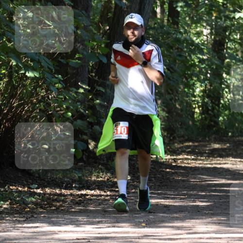 28.09.2025 - 33. Volkslauf durch das schöne Alstertal Strokosch-Dieckow http://msf.ph/oto/8974618 28.09.2025 12:50:53 Laufen 510 meine-sportfotos.de