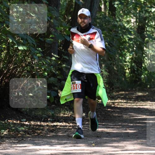 28.09.2025 - 33. Volkslauf durch das schöne Alstertal Strokosch-Dieckow http://msf.ph/oto/8974619 28.09.2025 12:50:53 Laufen 510 meine-sportfotos.de