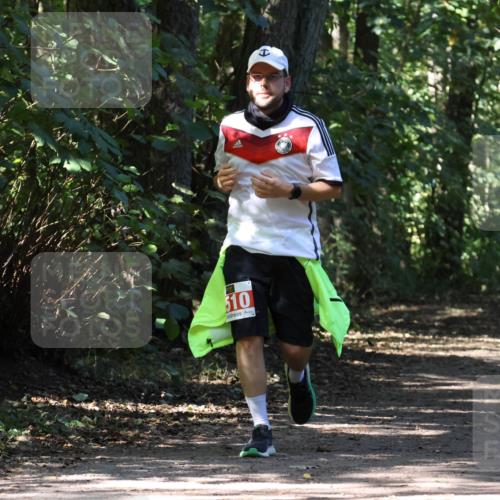 28.09.2025 - 33. Volkslauf durch das schöne Alstertal Strokosch-Dieckow http://msf.ph/oto/8974620 28.09.2025 12:50:53 Laufen 510 meine-sportfotos.de