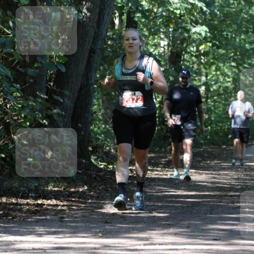 28.09.2025 - 33. Volkslauf durch das schöne Alstertal Strokosch-Dieckow http://msf.ph/oto/8974625 28.09.2025 12:51:48 Laufen 2372 meine-sportfotos.de