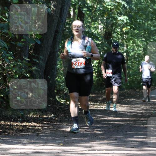 28.09.2025 - 33. Volkslauf durch das schöne Alstertal Strokosch-Dieckow http://msf.ph/oto/8974627 28.09.2025 12:51:48 Laufen 2372 meine-sportfotos.de