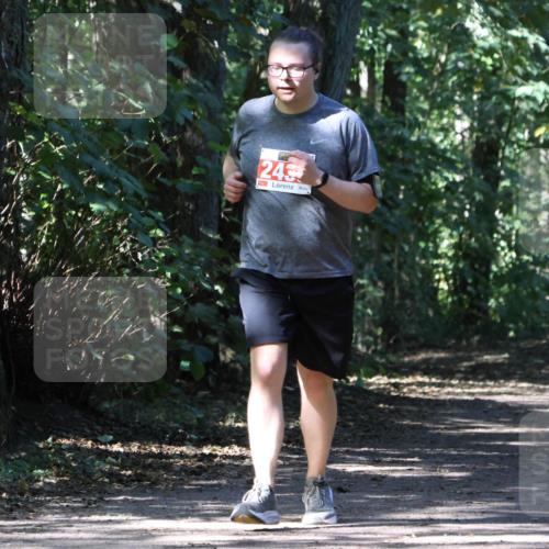 28.09.2025 - 33. Volkslauf durch das schöne Alstertal Strokosch-Dieckow http://msf.ph/oto/8974638 28.09.2025 12:52:04 Laufen 243 meine-sportfotos.de