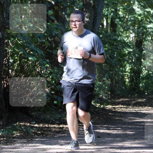 28.09.2025 - 33. Volkslauf durch das schöne Alstertal Strokosch-Dieckow http://msf.ph/oto/8974641 28.09.2025 12:52:04 Laufen 243 meine-sportfotos.de