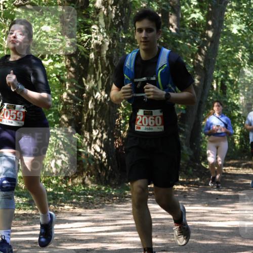 28.09.2025 - 33. Volkslauf durch das schöne Alstertal Strokosch-Dieckow http://msf.ph/oto/8974647 28.09.2025 12:52:19 Laufen 2059, 2060, 2148 meine-sportfotos.de