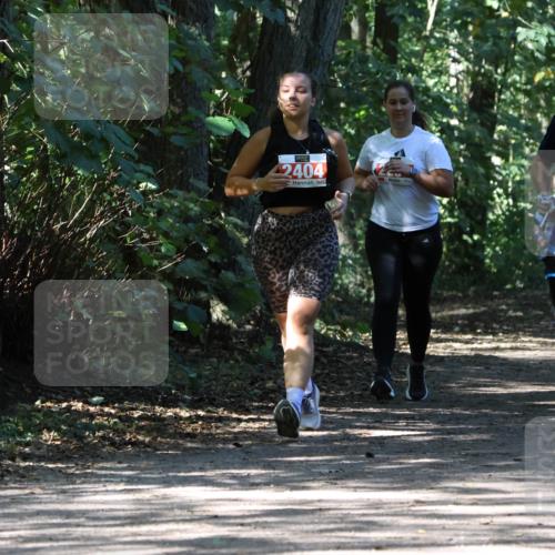 28.09.2025 - 33. Volkslauf durch das schöne Alstertal Strokosch-Dieckow http://msf.ph/oto/8974669 28.09.2025 12:55:50 Laufen 2404 meine-sportfotos.de