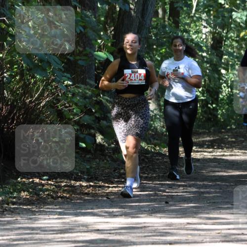 28.09.2025 - 33. Volkslauf durch das schöne Alstertal Strokosch-Dieckow http://msf.ph/oto/8974670 28.09.2025 12:55:50 Laufen 2404 meine-sportfotos.de