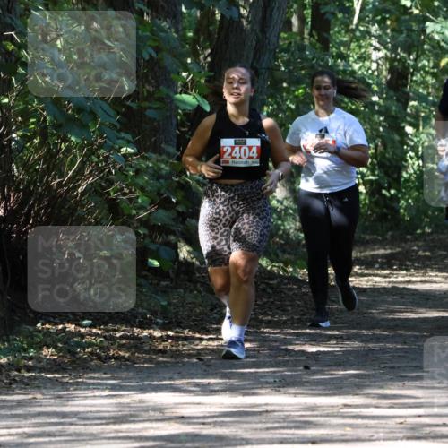 28.09.2025 - 33. Volkslauf durch das schöne Alstertal Strokosch-Dieckow http://msf.ph/oto/8974671 28.09.2025 12:55:50 Laufen 2404 meine-sportfotos.de