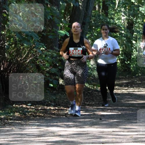 28.09.2025 - 33. Volkslauf durch das schöne Alstertal Strokosch-Dieckow http://msf.ph/oto/8974672 28.09.2025 12:55:50 Laufen 2404, 2291 meine-sportfotos.de