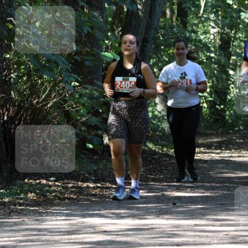 28.09.2025 - 33. Volkslauf durch das schöne Alstertal Strokosch-Dieckow http://msf.ph/oto/8974673 28.09.2025 12:55:50 Laufen 291, 2404 meine-sportfotos.de