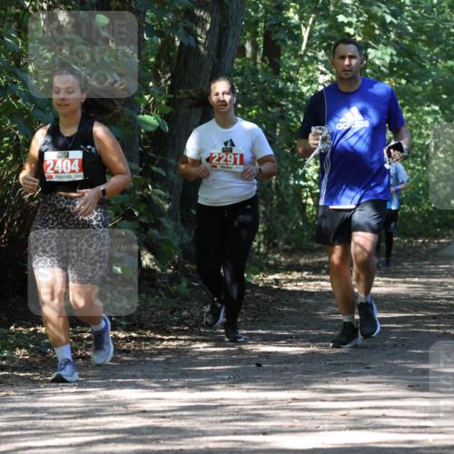 28.09.2025 - 33. Volkslauf durch das schöne Alstertal Strokosch-Dieckow http://msf.ph/oto/8974674 28.09.2025 12:55:51 Laufen 2404, 2291 meine-sportfotos.de