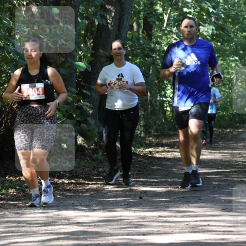 28.09.2025 - 33. Volkslauf durch das schöne Alstertal Strokosch-Dieckow http://msf.ph/oto/8974675 28.09.2025 12:55:51 Laufen 2404, 220 meine-sportfotos.de