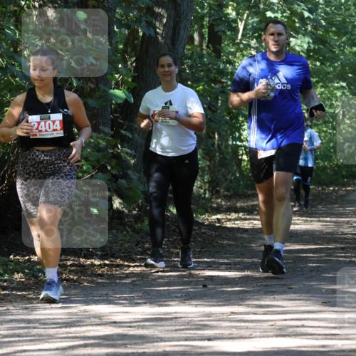 28.09.2025 - 33. Volkslauf durch das schöne Alstertal Strokosch-Dieckow http://msf.ph/oto/8974676 28.09.2025 12:55:51 Laufen 2404 meine-sportfotos.de