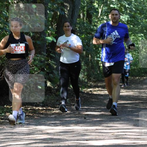 28.09.2025 - 33. Volkslauf durch das schöne Alstertal Strokosch-Dieckow http://msf.ph/oto/8974677 28.09.2025 12:55:51 Laufen 404 meine-sportfotos.de