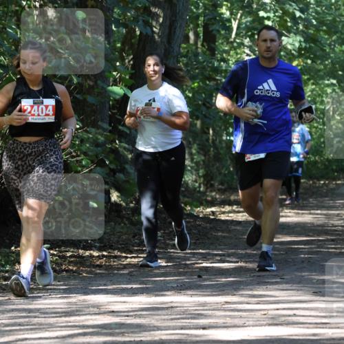 28.09.2025 - 33. Volkslauf durch das schöne Alstertal Strokosch-Dieckow http://msf.ph/oto/8974678 28.09.2025 12:55:51 Laufen 2404 meine-sportfotos.de
