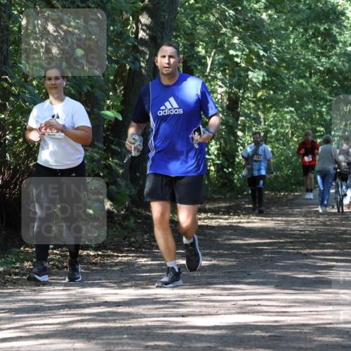 28.09.2025 - 33. Volkslauf durch das schöne Alstertal Strokosch-Dieckow http://msf.ph/oto/8974679 28.09.2025 12:55:52 Laufen 1, 743 meine-sportfotos.de