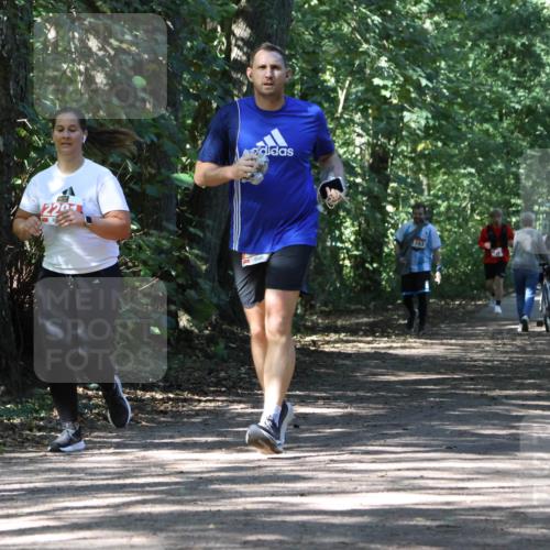 28.09.2025 - 33. Volkslauf durch das schöne Alstertal Strokosch-Dieckow http://msf.ph/oto/8974682 28.09.2025 12:55:53 Laufen 220, 743 meine-sportfotos.de