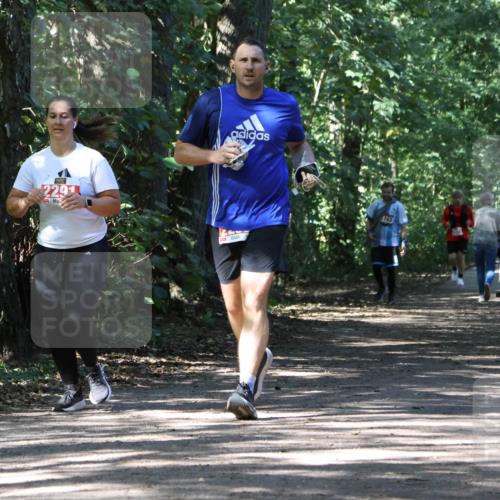 28.09.2025 - 33. Volkslauf durch das schöne Alstertal Strokosch-Dieckow http://msf.ph/oto/8974683 28.09.2025 12:55:53 Laufen 2291, 743 meine-sportfotos.de