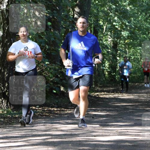 28.09.2025 - 33. Volkslauf durch das schöne Alstertal Strokosch-Dieckow http://msf.ph/oto/8974685 28.09.2025 12:55:53 Laufen 91 meine-sportfotos.de