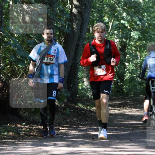 28.09.2025 - 33. Volkslauf durch das schöne Alstertal Strokosch-Dieckow http://msf.ph/oto/8974686 28.09.2025 12:56:10 Laufen 1743, 2073, 8 meine-sportfotos.de