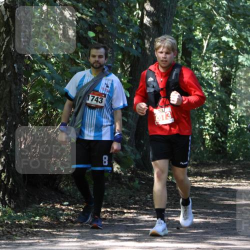 28.09.2025 - 33. Volkslauf durch das schöne Alstertal Strokosch-Dieckow http://msf.ph/oto/8974693 28.09.2025 12:56:10 Laufen 1743, 2073, 8 meine-sportfotos.de