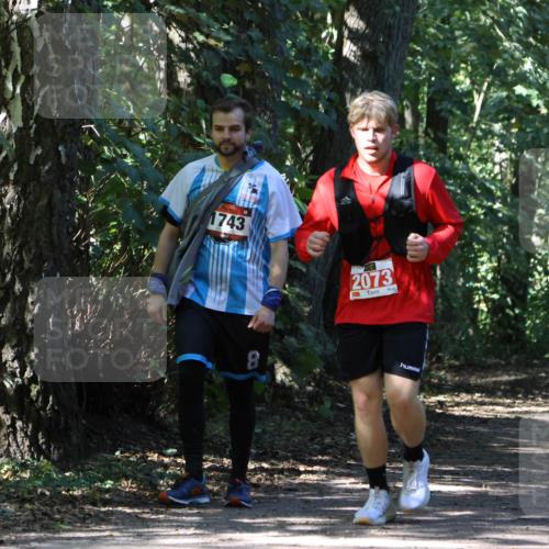 28.09.2025 - 33. Volkslauf durch das schöne Alstertal Strokosch-Dieckow http://msf.ph/oto/8974695 28.09.2025 12:56:11 Laufen 1743, 2073, 8 meine-sportfotos.de
