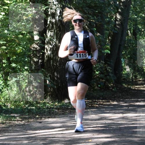 28.09.2025 - 33. Volkslauf durch das schöne Alstertal Strokosch-Dieckow http://msf.ph/oto/8974722 28.09.2025 12:58:35 Laufen 1115 meine-sportfotos.de