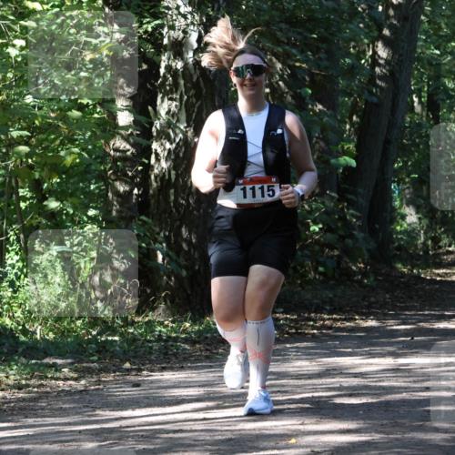 28.09.2025 - 33. Volkslauf durch das schöne Alstertal Strokosch-Dieckow http://msf.ph/oto/8974723 28.09.2025 12:58:35 Laufen 1115 meine-sportfotos.de