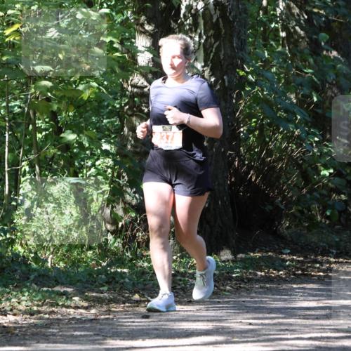 28.09.2025 - 33. Volkslauf durch das schöne Alstertal Strokosch-Dieckow http://msf.ph/oto/8974729 28.09.2025 12:58:49 Laufen 237 meine-sportfotos.de