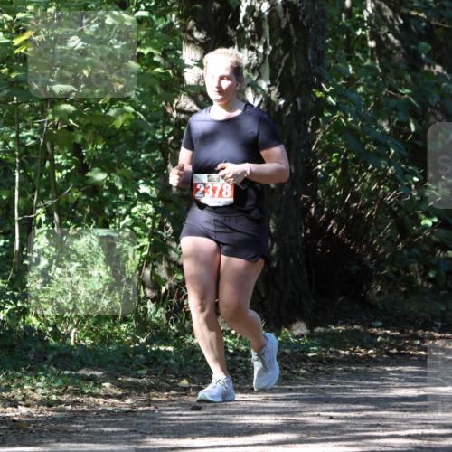 28.09.2025 - 33. Volkslauf durch das schöne Alstertal Strokosch-Dieckow http://msf.ph/oto/8974730 28.09.2025 12:58:49 Laufen 2378 meine-sportfotos.de