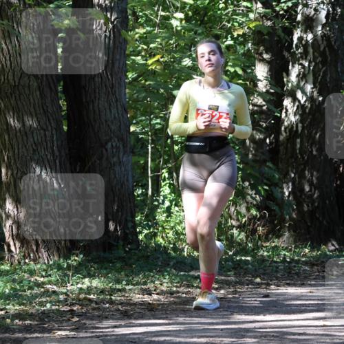 28.09.2025 - 33. Volkslauf durch das schöne Alstertal Strokosch-Dieckow http://msf.ph/oto/8974735 28.09.2025 12:58:57 Laufen 27 meine-sportfotos.de