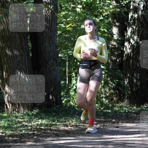 28.09.2025 - 33. Volkslauf durch das schöne Alstertal Strokosch-Dieckow http://msf.ph/oto/8974736 28.09.2025 12:58:58 Laufen  meine-sportfotos.de