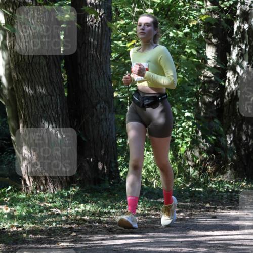 28.09.2025 - 33. Volkslauf durch das schöne Alstertal Strokosch-Dieckow http://msf.ph/oto/8974739 28.09.2025 12:58:58 Laufen  meine-sportfotos.de