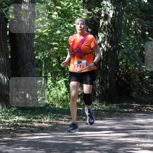 28.09.2025 - 33. Volkslauf durch das schöne Alstertal Strokosch-Dieckow http://msf.ph/oto/8974746 28.09.2025 12:59:36 Laufen 2278 meine-sportfotos.de